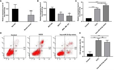 hsa-miR-33-5p as a Therapeutic Target Promotes Apoptosis of Breast Cancer Cells via Selenoprotein T